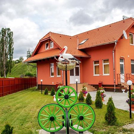 Bed and Breakfast Picnic Panzio Lunca de Sus Exterior foto