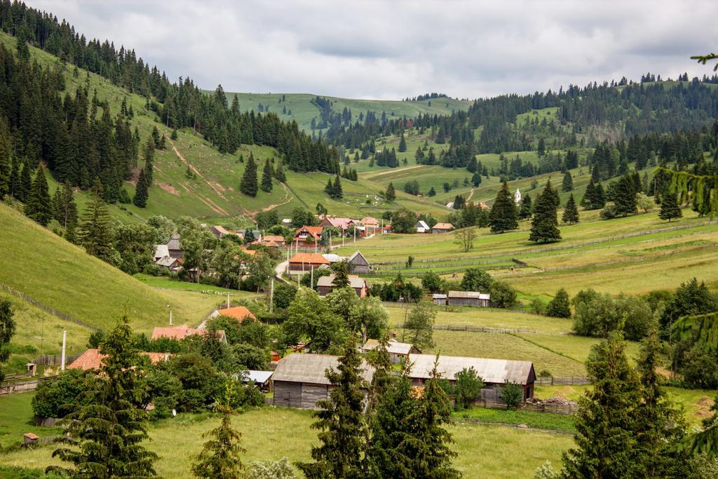 Bed and Breakfast Picnic Panzio Lunca de Sus Exterior foto