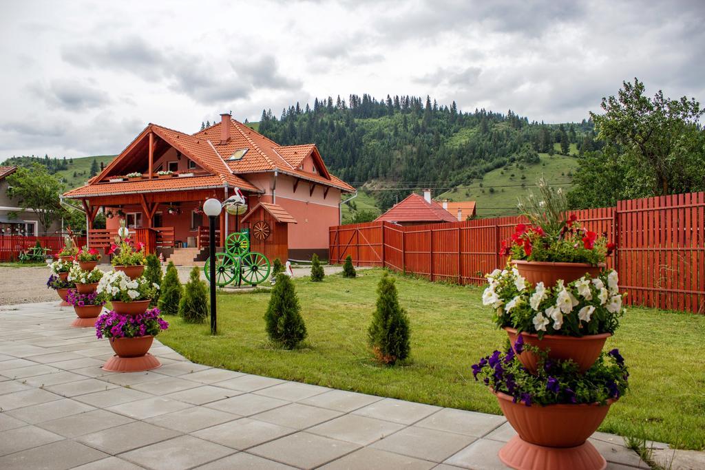 Bed and Breakfast Picnic Panzio Lunca de Sus Exterior foto