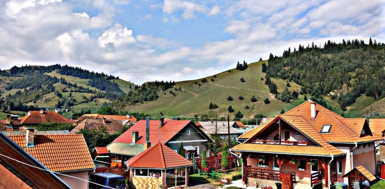 Bed and Breakfast Picnic Panzio Lunca de Sus Exterior foto
